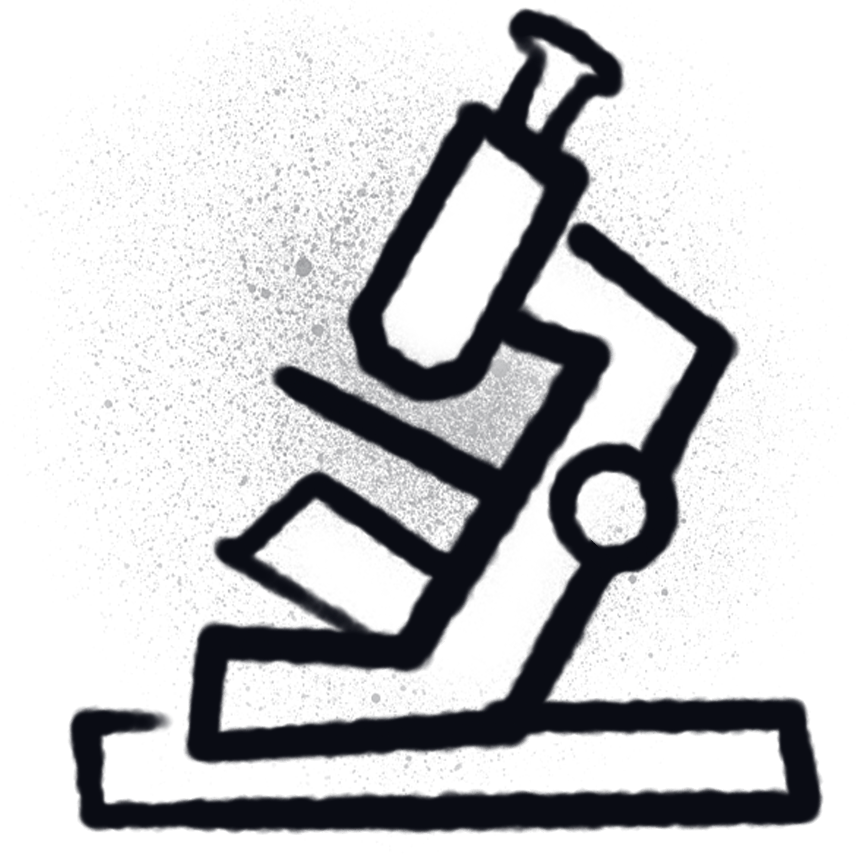 Phase 1: X-Ray + Lab